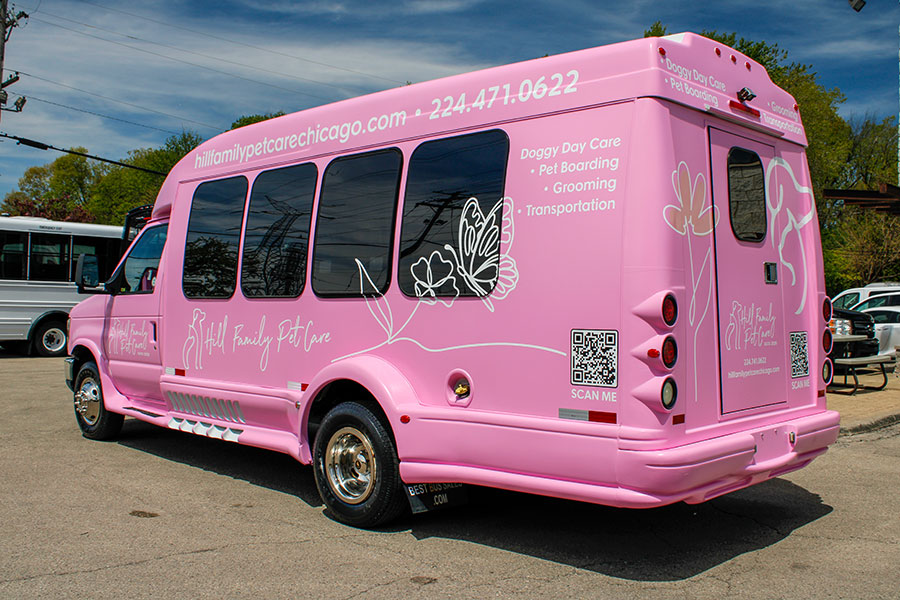 vehicle graphics